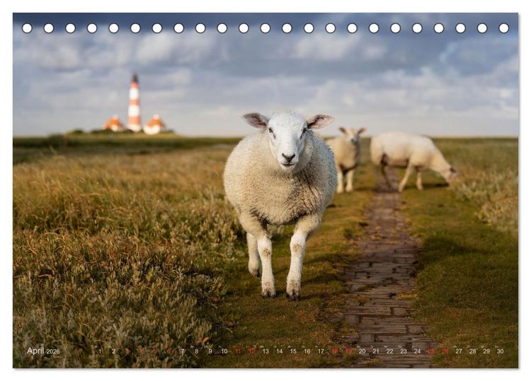 Produktbild: Wundersch&ouml;nes Eiderstedt (Tischkalender 2026 DIN A5 quer), CALVENDO Monatskalender