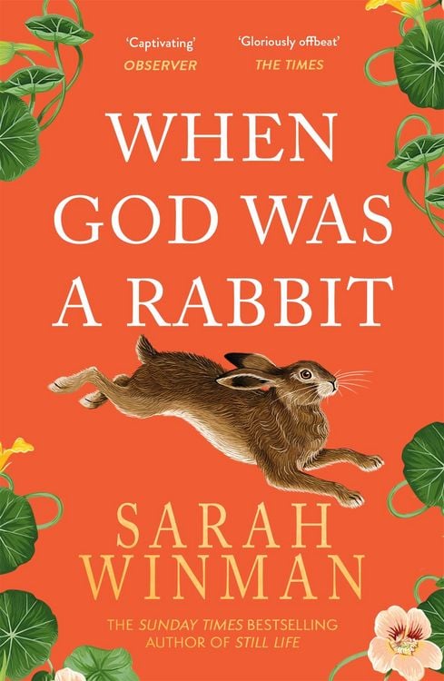 Produktbild: When God was a Rabbit