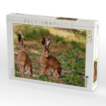Produktbild: CALVENDO Puzzle Aufmerksame Feldhasen | 1000 Teile Lege-Gr&ouml;&szlig;e 64x48cm Foto-Puzzle f&uuml;r gl&uuml;ckliche Stunden