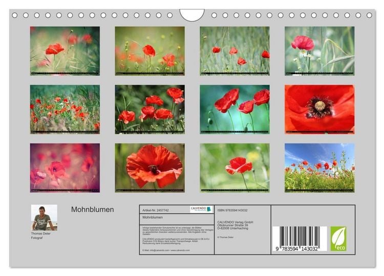 Produktbild: Mohnblumen (Wandkalender 2027 DIN A4 quer), CALVENDO Monatskalender