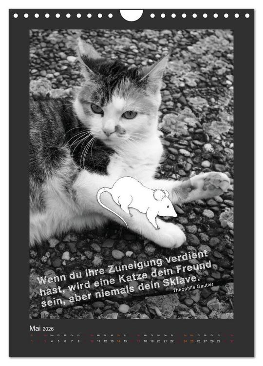 Produktbild: Katz & Maus (Wandkalender 2026 DIN A4 hoch), CALVENDO Monatskalender