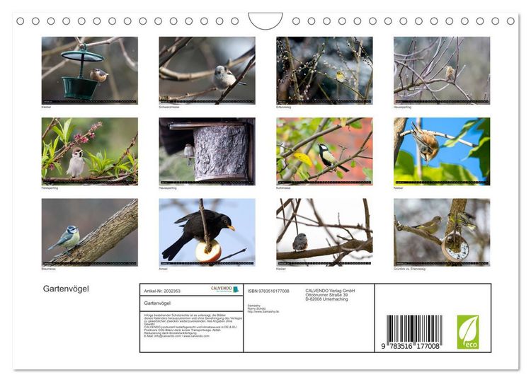 Produktbild: Gartenv&ouml;gel (Wandkalender 2026 DIN A4 quer), CALVENDO Monatskalender