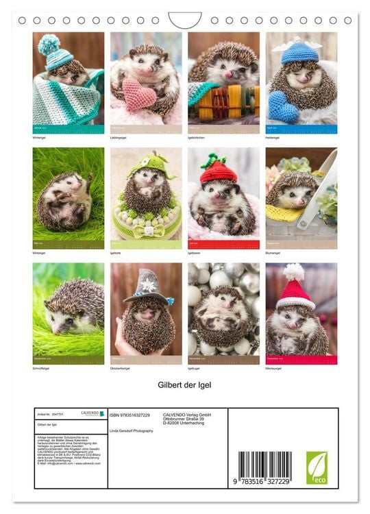 Produktbild: Gilbert der Igel (Wandkalender 2026 DIN A4 hoch), CALVENDO Monatskalender