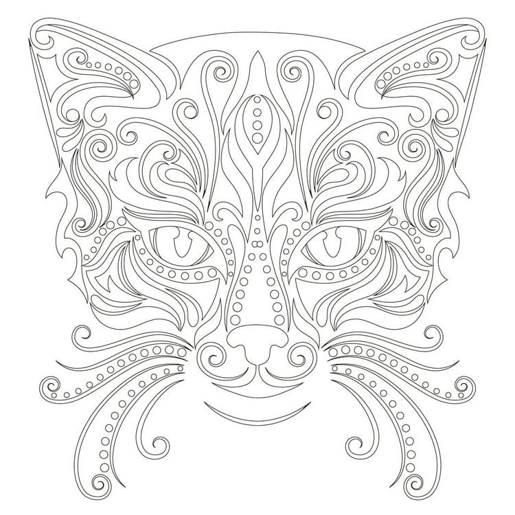 Produktbild: Achtsam & Kreativ. Katzen