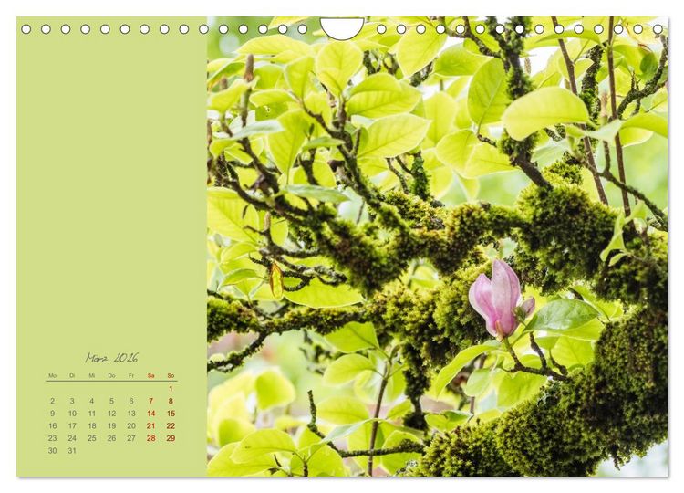 Produktbild: Bl&uuml;tenstil (Wandkalender 2026 DIN A4 quer), CALVENDO Monatskalender