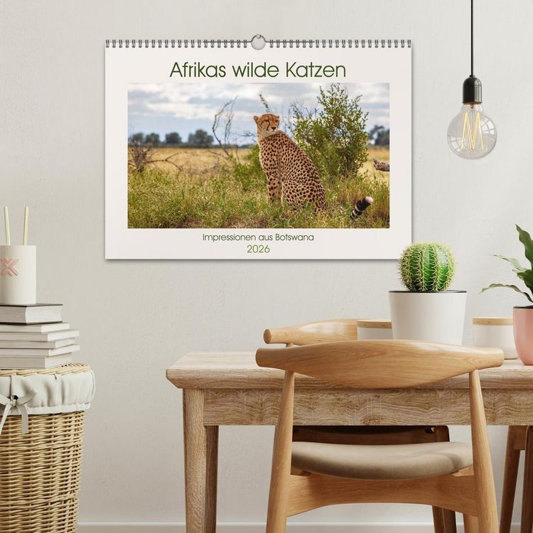 Produktbild: Afrikas wilde Katzen (Wandkalender 2026 DIN A3 quer), CALVENDO Monatskalender