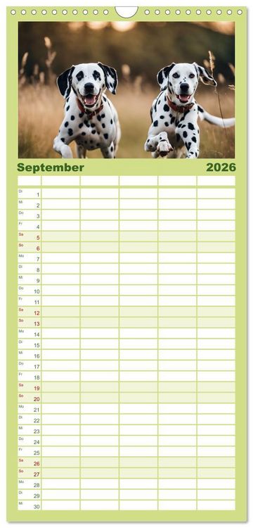 Produktbild: Familienplaner 2026 - Dalmatiner - freundliche Temperamentsbolzen mit 5 Spalten (Wandkalender, 21 x 45 cm) CALVENDO