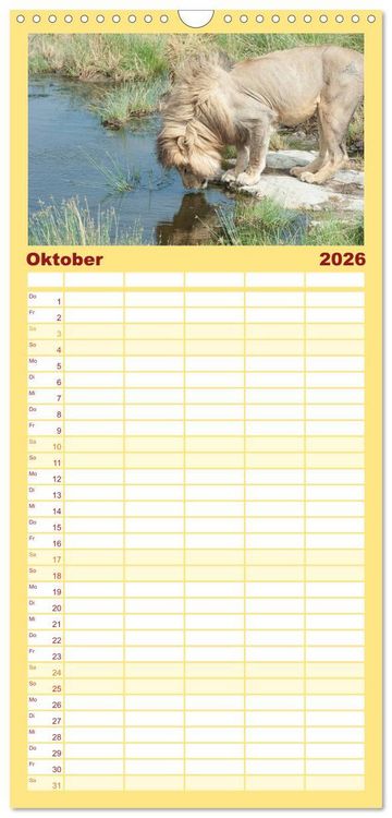 Produktbild: Familienplaner 2026 - Die Magie der K&ouml;nige der Tiere mit 5 Spalten (Wandkalender, 21 x 45 cm) CALVENDO