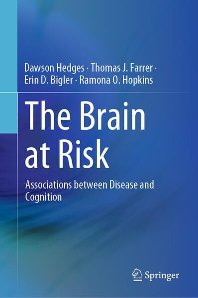 Produktbild: The Brain at Risk