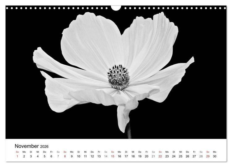 Produktbild: Blumen 2026, Schwarz-Wei&szlig; (Wandkalender 2026 DIN A3 quer), CALVENDO Monatskalender