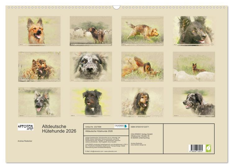 Produktbild: Altdeutsche H&uuml;tehunde 2026 (Wandkalender 2026 DIN A2 quer), CALVENDO Monatskalender