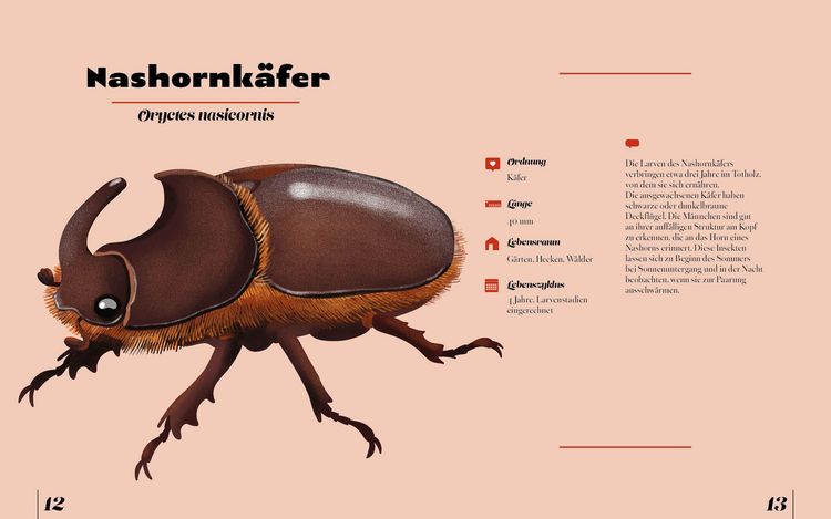 Produktbild: Insekten & Krabbeltiere