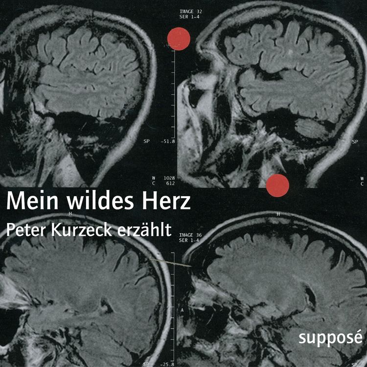 Produktbild: Mein wildes Herz