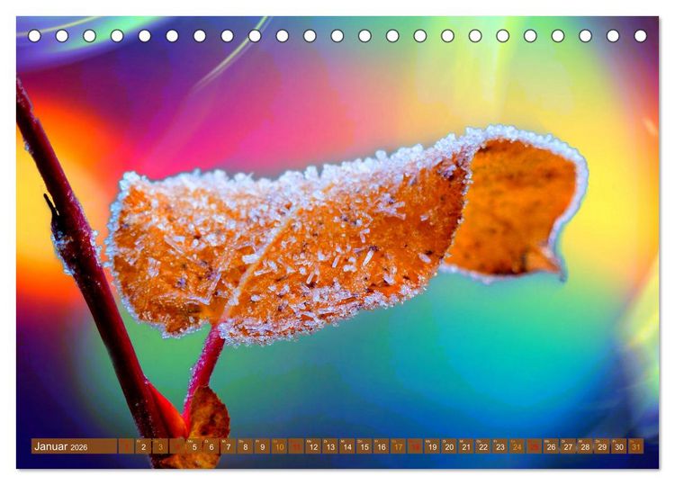 Produktbild: Grandiose Farbenspiele (Tischkalender 2026 DIN A5 quer), CALVENDO Monatskalender