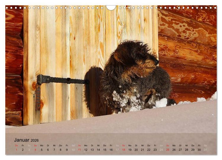 Produktbild: Liebenswerte Clowns (Wandkalender 2026 DIN A3 quer), CALVENDO Monatskalender