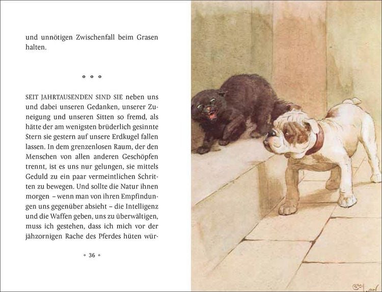 Produktbild: Mein Hund