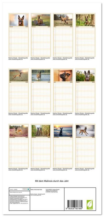 Produktbild: Familienplaner 2026 - Mit dem Malinois durch das Jahr mit 5 Spalten (Wandkalender, 21 x 45 cm) CALVENDO