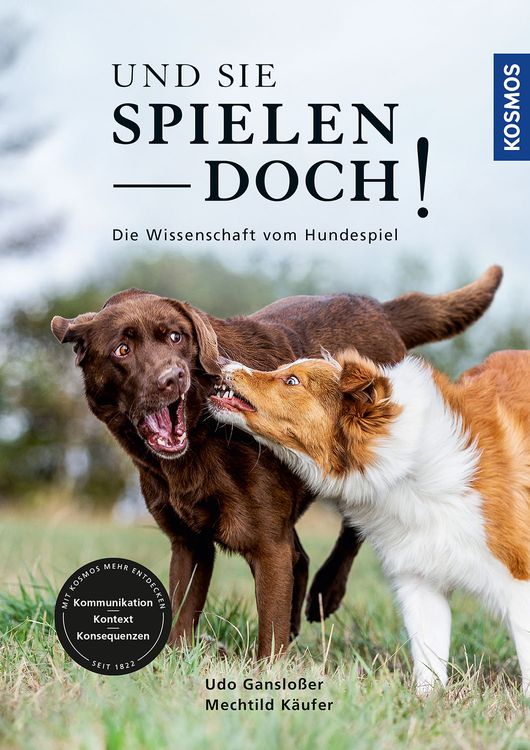 Produktbild: Und sie spielen doch!