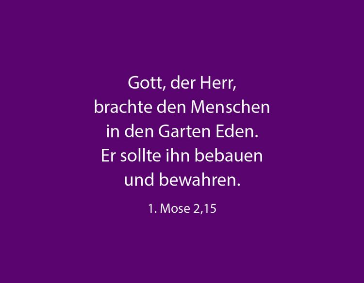 Produktbild: 50 Dinge, die Gott an dir liebt &ndash; Textkartenbox