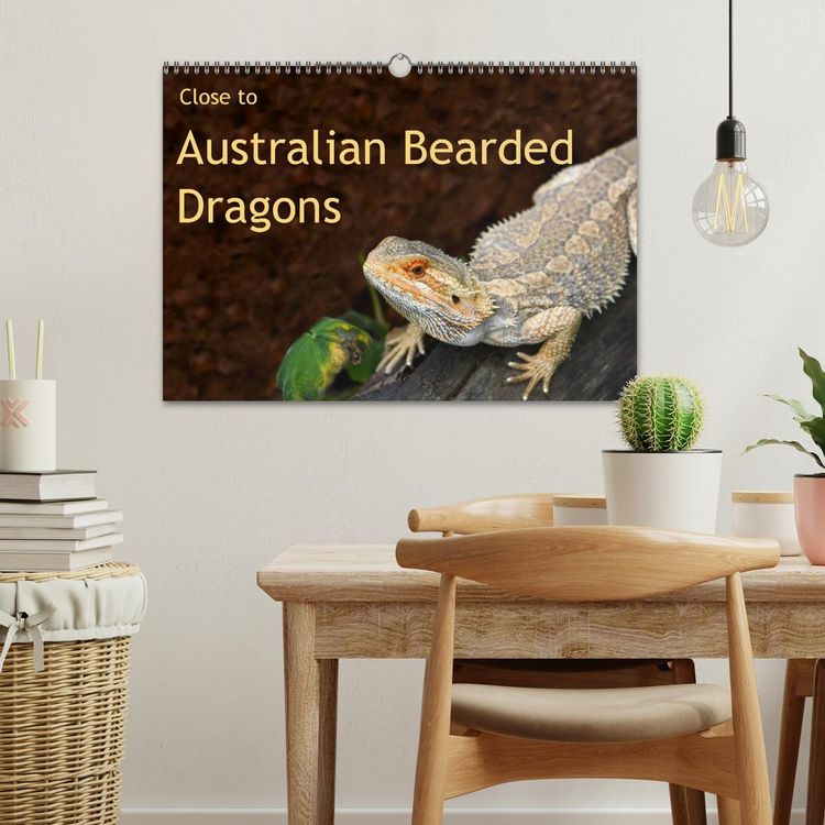 Produktbild: Close to Australian Bearded Dragons (Wall Calendar 2026 DIN A3 landscape), CALVENDO 12 Month Wall Calendar
