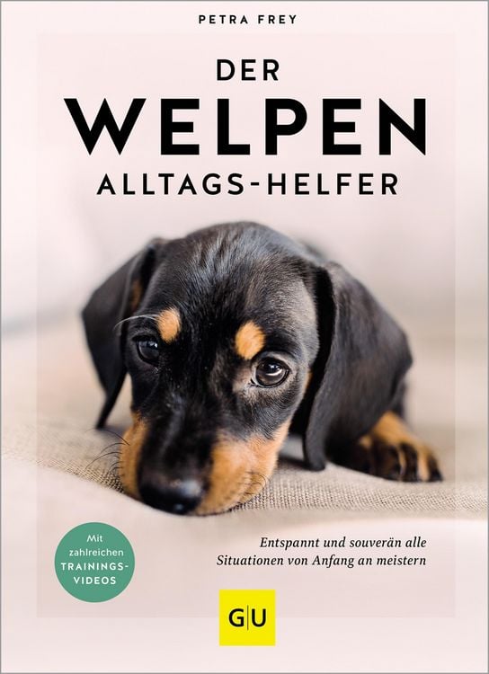 Produktbild: Der Welpen-Alltags-Helfer