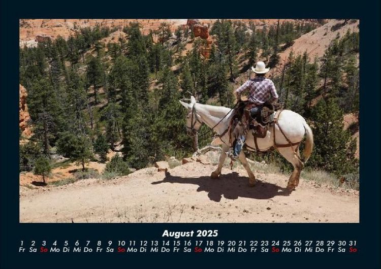 Produktbild: Die Welt der Pferde 2025 Fotokalender DIN A4
