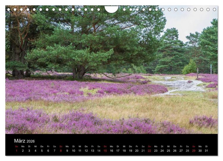 Produktbild: L&uuml;neburger Heide (Wandkalender 2026 DIN A4 quer), CALVENDO Monatskalender