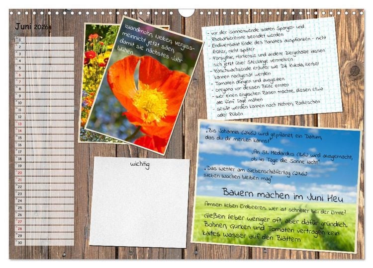 Produktbild: Was ist noch im Garten zu tun? (Wandkalender 2026 DIN A3 quer), CALVENDO Monatskalender