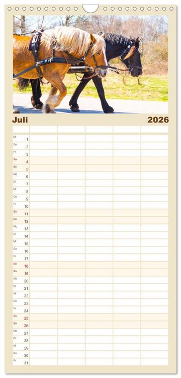 Produktbild: Familienplaner 2026 - Geliebte Tiere auf dem Bauernhof mit 5 Spalten (Wandkalender, 21 x 45 cm) CALVENDO