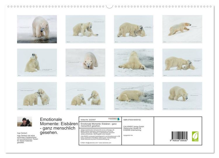 Produktbild: Emotionale Momente: Eisb&auml;ren - ganz menschlich gesehen. (hochwertiger Premium Wandkalender 2026 DIN A2 quer), Kunstdruck in Hochglanz