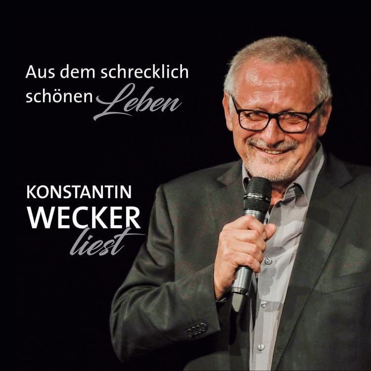 Produktbild: Aus dem schrecklich sch&ouml;nen Leben