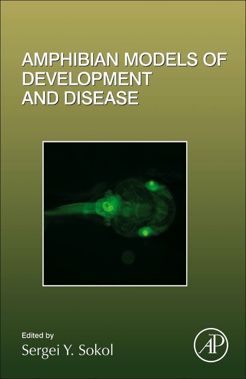 Produktbild: Amphibian Models of Development and Disease