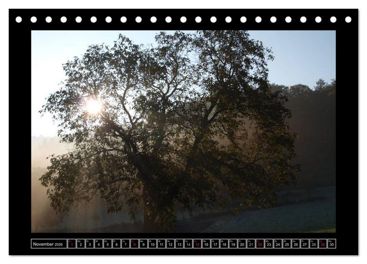 Produktbild: Odenwald - Landschaft sehen (Tischkalender 2026 DIN A5 quer), CALVENDO Monatskalender
