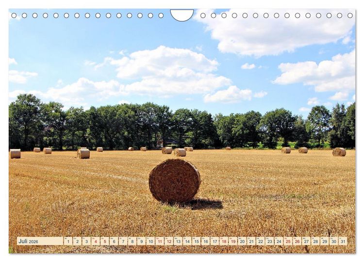 Produktbild: In Apen und umzu (Wandkalender 2026 DIN A4 quer), CALVENDO Monatskalender