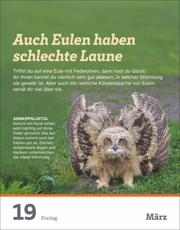 Produktbild: WAS IST WAS Der Kalender Tagesabrei&szlig;kalender 2027