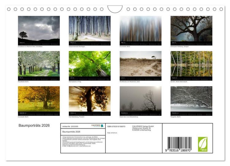 Produktbild: Baumportr&auml;ts 2026 (Wandkalender 2026 DIN A4 quer), CALVENDO Monatskalender