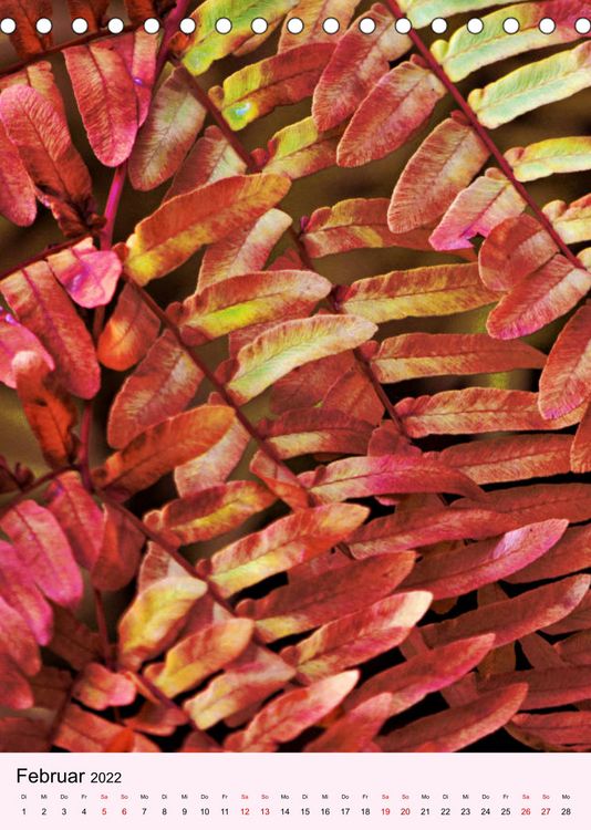 Produktbild: Lust auf Herbstfarben (Tischkalender 2022 DIN A5 hoch)