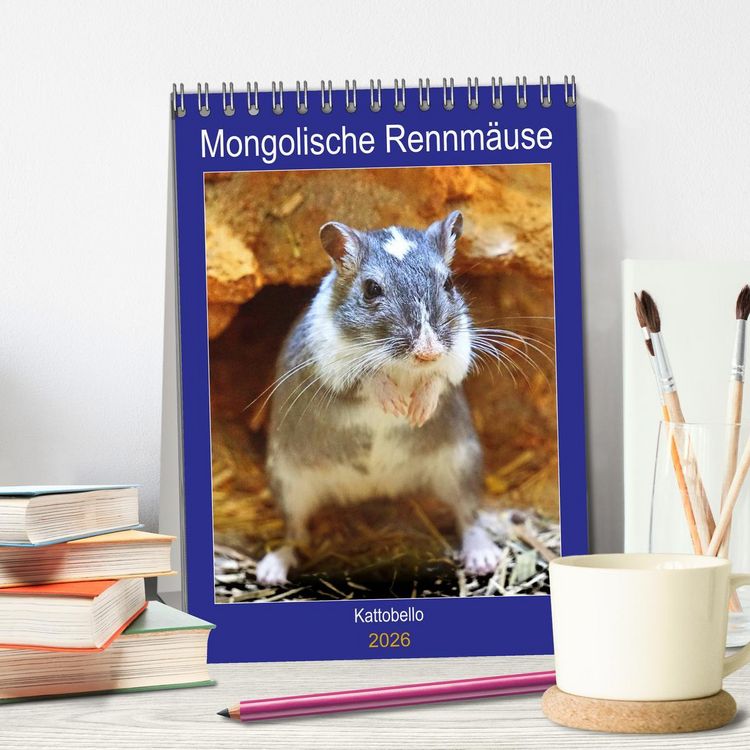 Produktbild: Mongolische Rennm&auml;use (Tischkalender 2026 DIN A5 hoch), CALVENDO Monatskalender