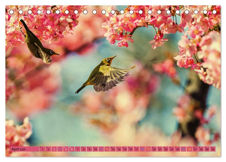 Produktbild: JAPAN - Im Land des L&auml;chelns (Tischkalender 2026 DIN A5 quer), CALVENDO Monatskalender