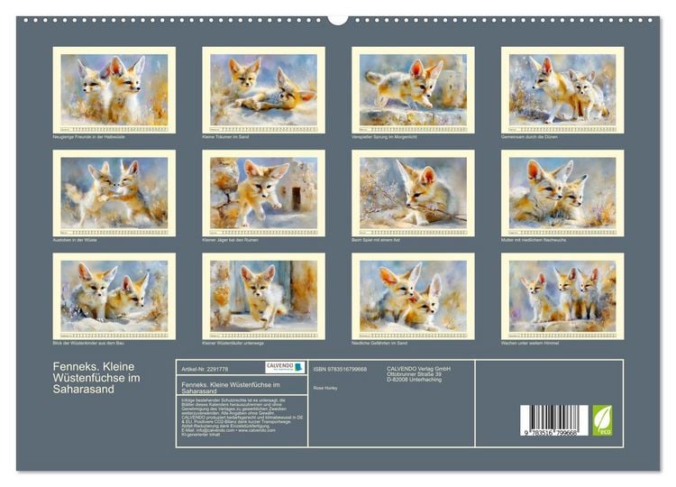 Produktbild: Fenneks. Kleine W&uuml;stenf&uuml;chse im Saharasand (hochwertiger Premium Wandkalender 2027 DIN A2 quer), Kunstdruck in Hochglanz