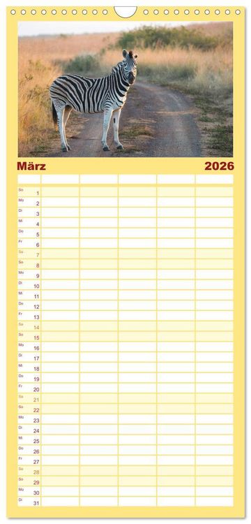 Produktbild: Familienplaner 2026 - S&uuml;dafrika - Big 5 und mehr mit 5 Spalten (Wandkalender, 21 x 45 cm) CALVENDO