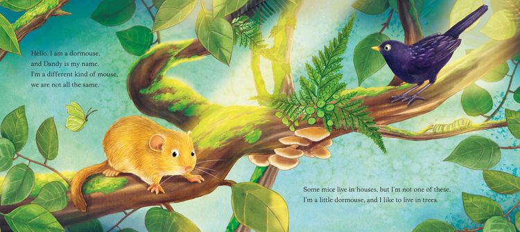 Produktbild: I am Dandy the Dormouse