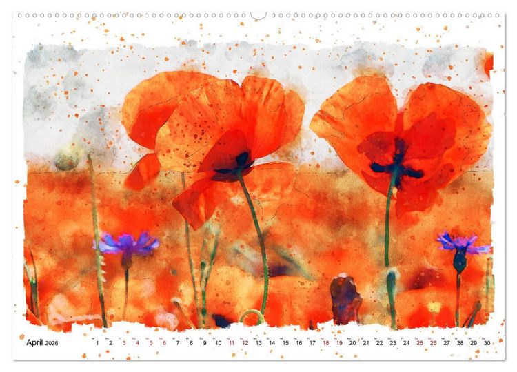Produktbild: Mohnbl&uuml;ten in Aquarell (hochwertiger Premium Wandkalender 2026 DIN A2 quer), Kunstdruck in Hochglanz