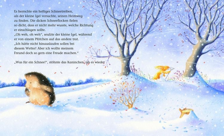 Produktbild: Der kleine Igel und die rote M&uuml;tze