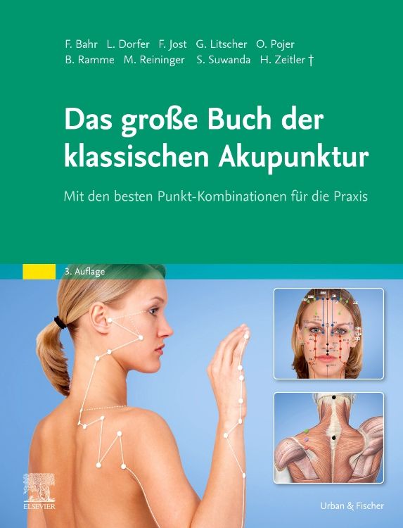 Produktbild: Das gro&szlig;e Buch der klassischen Akupunktur