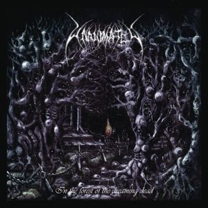Produktbild: In The Forest Of The Dreaming Dead (Re-issue 2021)