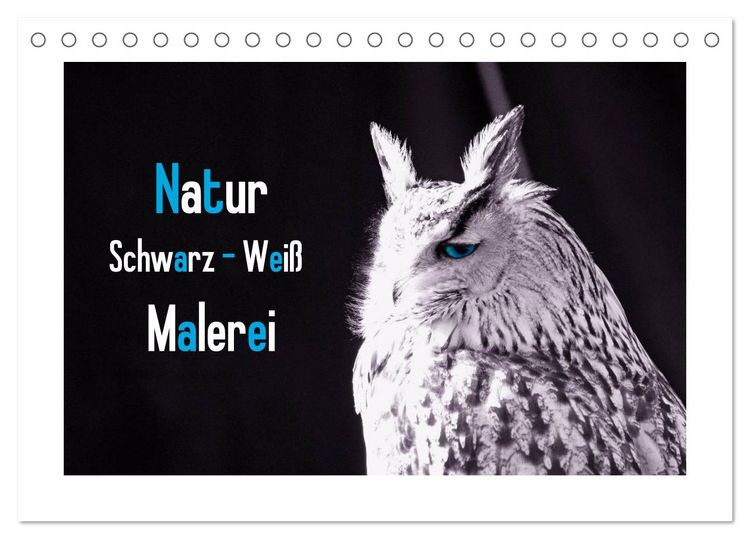 Produktbild: Natur schwarz - wei&szlig; Malerei (Tischkalender 2026 DIN A5 quer), CALVENDO Monatskalender