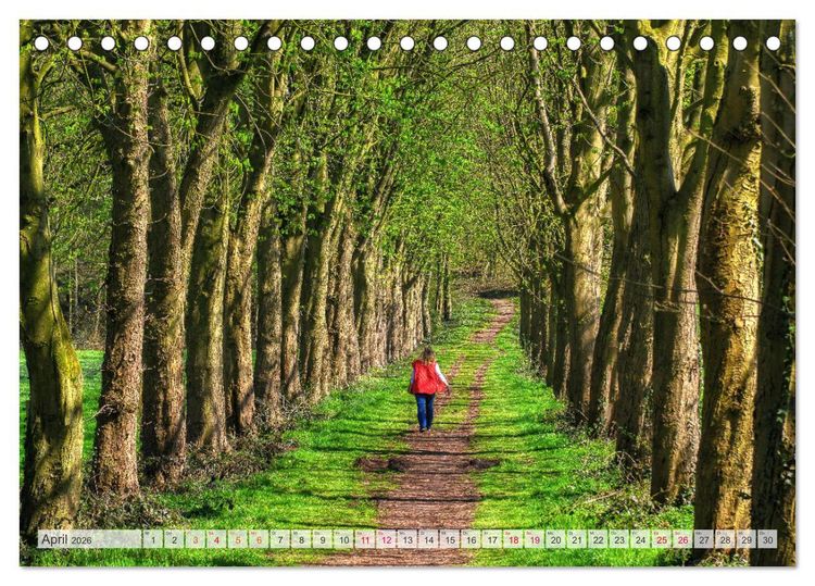 Produktbild: Idyllische Wanderwege im Bergischen Land (Tischkalender 2026 DIN A5 quer), CALVENDO Monatskalender