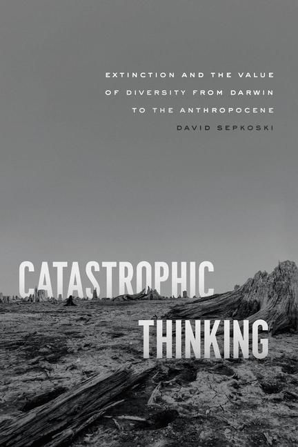 Produktbild: Catastrophic Thinking