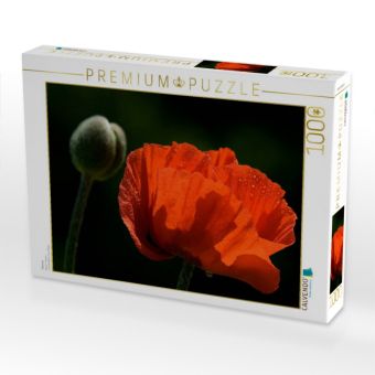Produktbild: CALVENDO Puzzle Papaver | 1000 Teile Lege-Gr&ouml;&szlig;e 64x48cm Foto-Puzzle f&uuml;r gl&uuml;ckliche Stunden